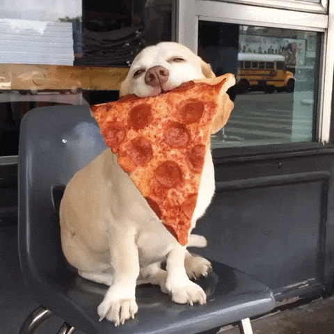Dog Pizza